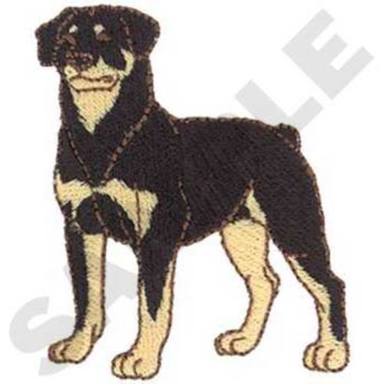 Rottweiler