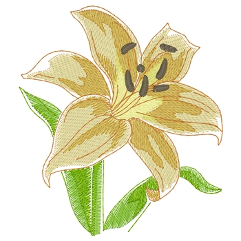Lily