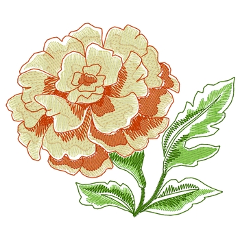 Marigold