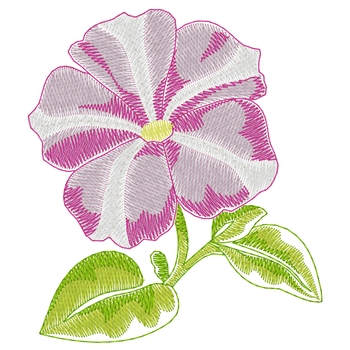 Petunia