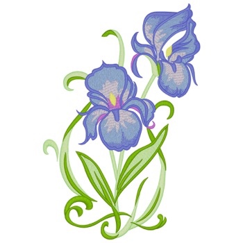 Irises