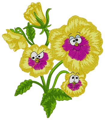 Pansies