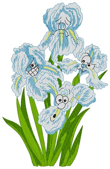 Iris