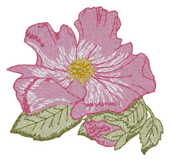 Bess Rose
