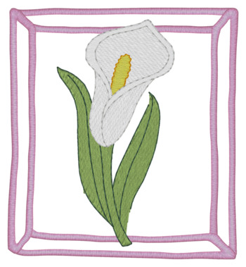 Calla Lily