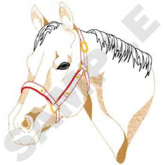 Quarter Horse Outline