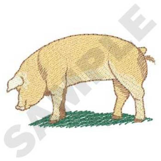 Duroc