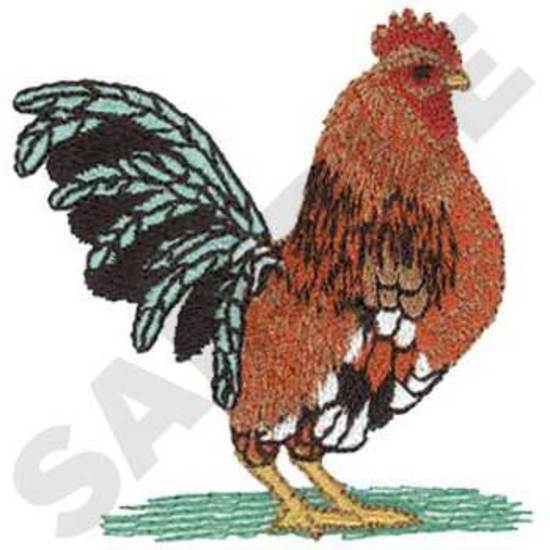 Sm. Bantam Rooster