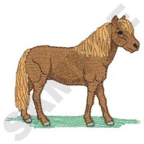 Sm. Miniature Horse