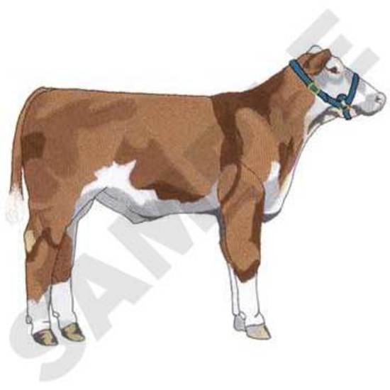 Show Steer