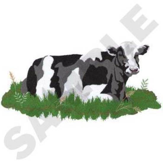 Cow Lying Down