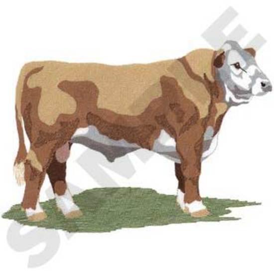 Polled Hereford