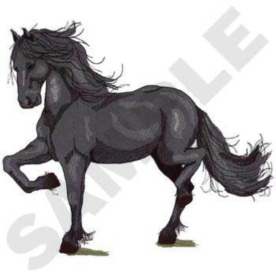 Friesian