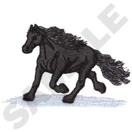 Friesian Horse