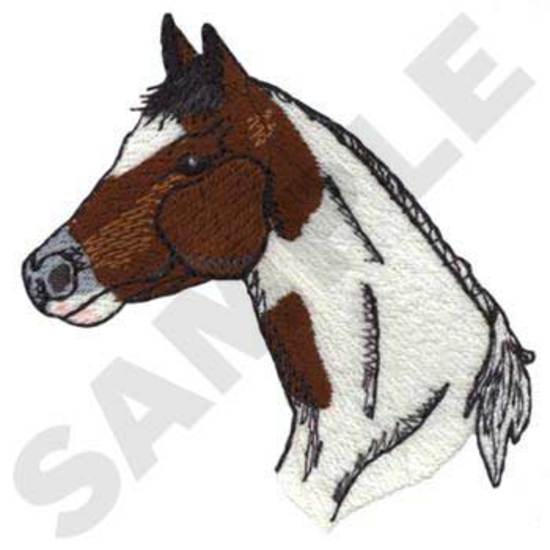 Spotted Saddle Horse