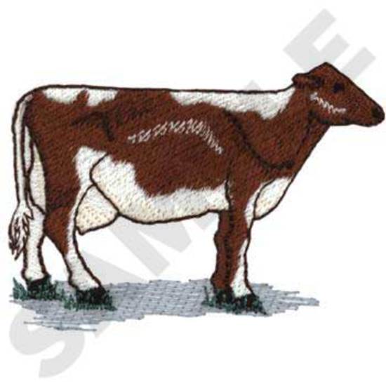 Guernsey Cow