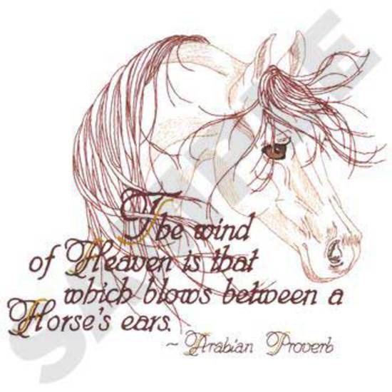 Arabian Proverb