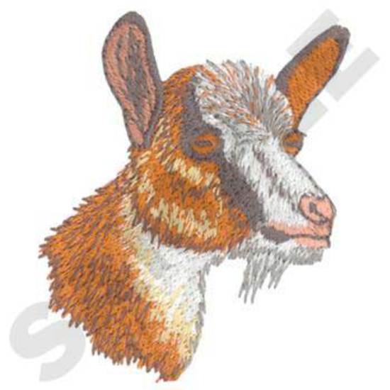 Alpine Goat