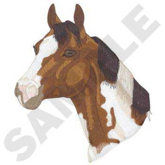 Tobiano Quarter Horse