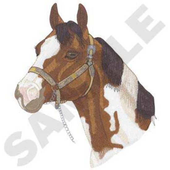 Tobiano W/show Halter