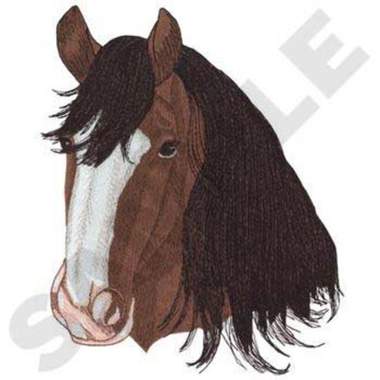 Shire Horse