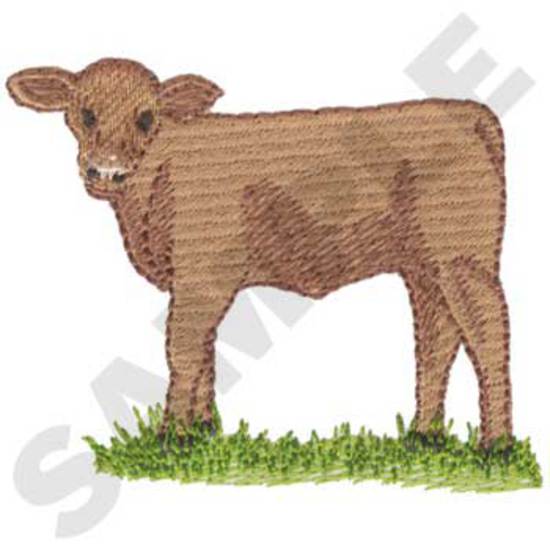 Calf