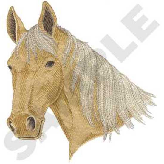 Palomino Head