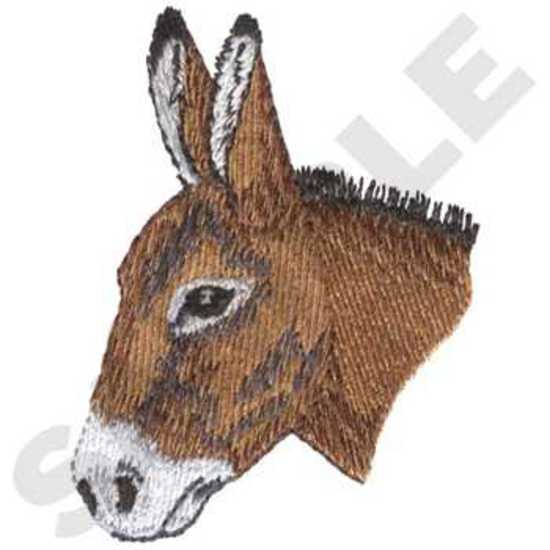 Wild Donkey Head