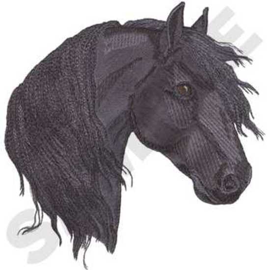 Friesian