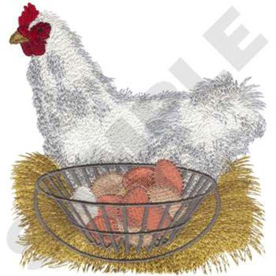 Eggs In Basket