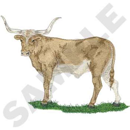 Longhorn Steer