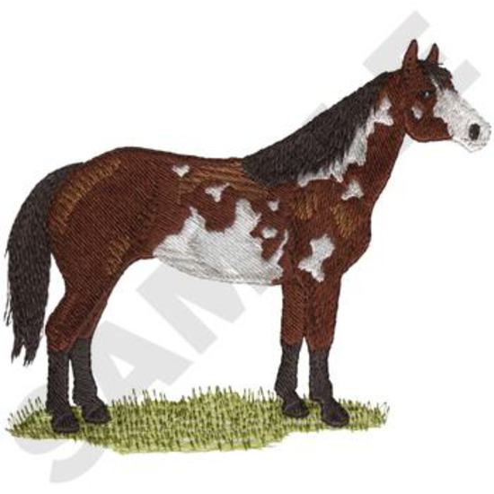 Overo Paint Horse