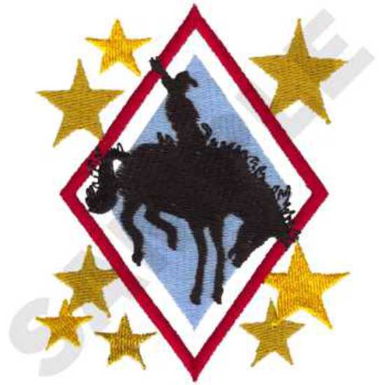 Bronc Rider In Diamond