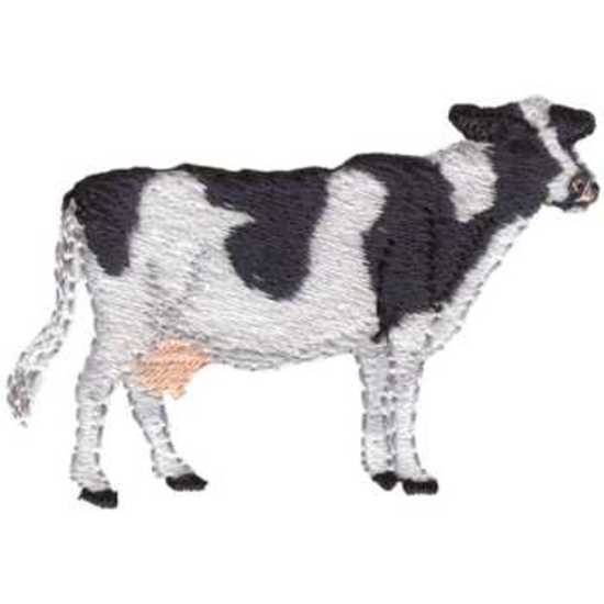 Holstein