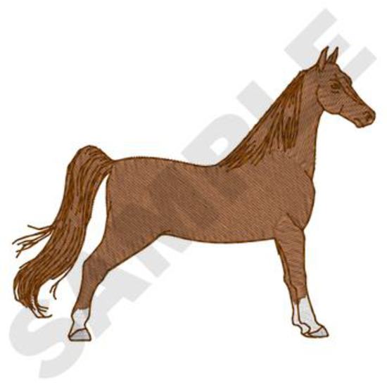 Saddlebred