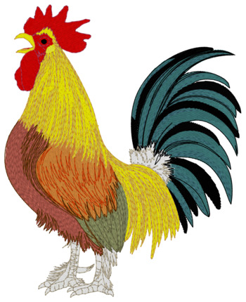 Bantan Rooster