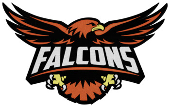 Falcons