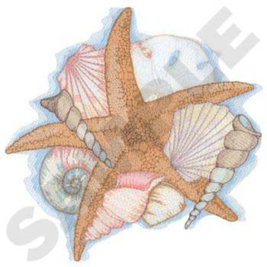 Starfish & Seashells