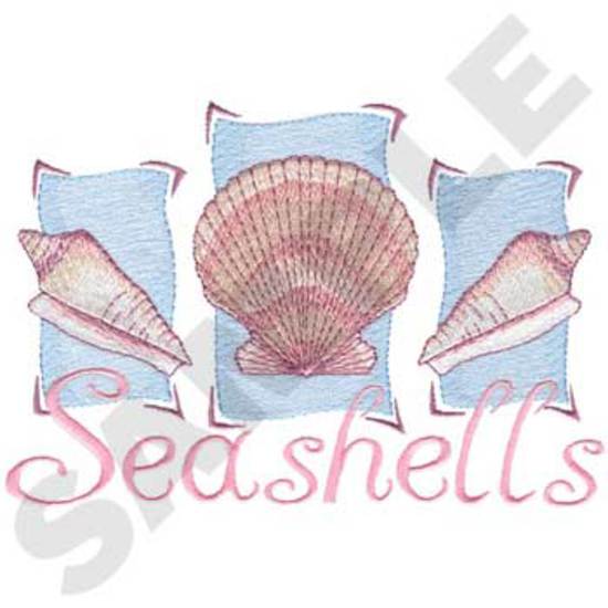 Seashells