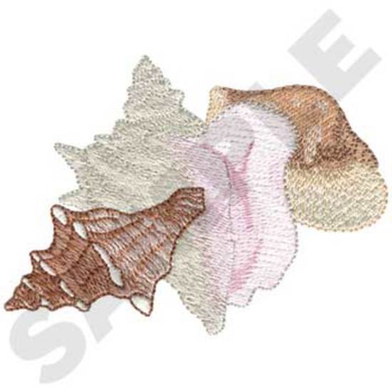 Conch Shells