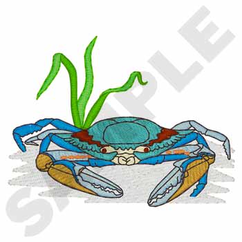 Blue Crab