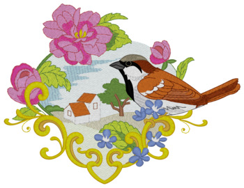 House Sparrow Scene