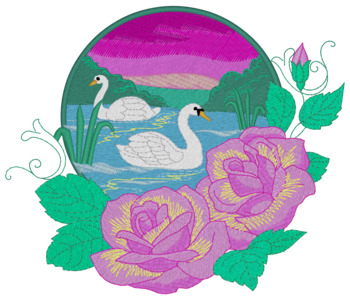 Swans & Roses