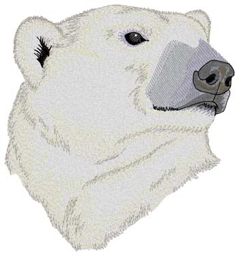 Polar Bear