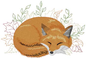 Sleeping Fox