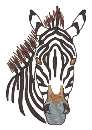 Zebra-Gesicht