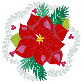 Poinsettia