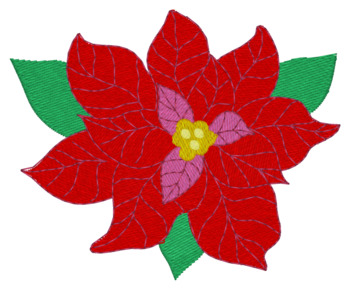 Poinsettia Accent