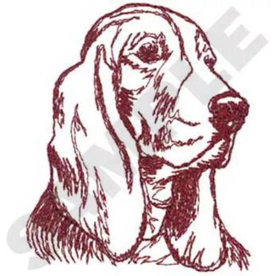 Basset-Hound Jagdhund