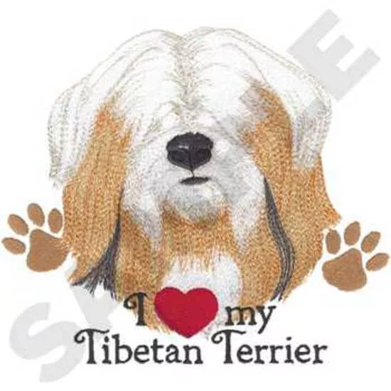 Tibetanischer Terrier